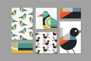 Flat Birds Illustrations & Patterns