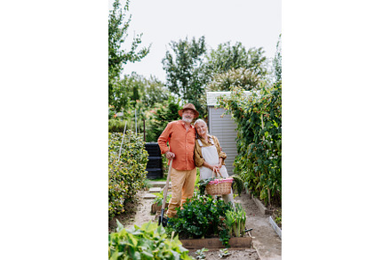 Happy senior couple working and, a Person Photo by HalfPoint