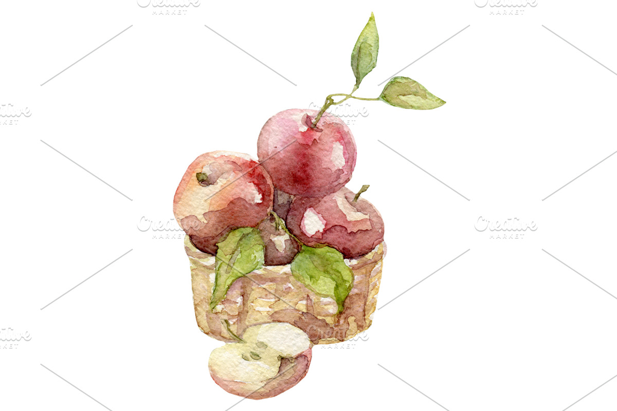 Watercolor 24 fruits set, a Food Illustration by My watercolor shop (Photo 10 of 16)