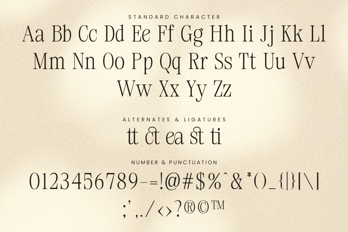 Meaning Elegant - Classic Serif Font, a Serif Font by Lettersiro (Photo 6 of 8)
