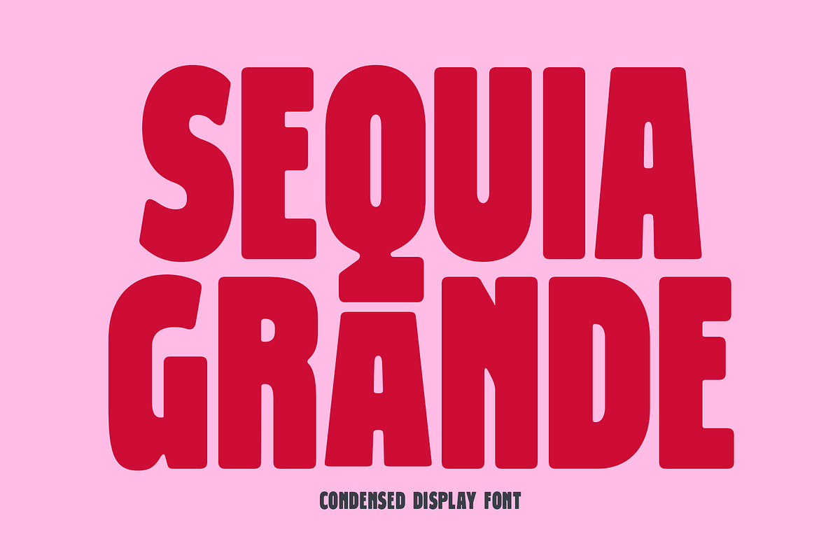 Sequia Grande - Condensed Font, a Sans Serif Font by Viswell (Photo 1 of 9)