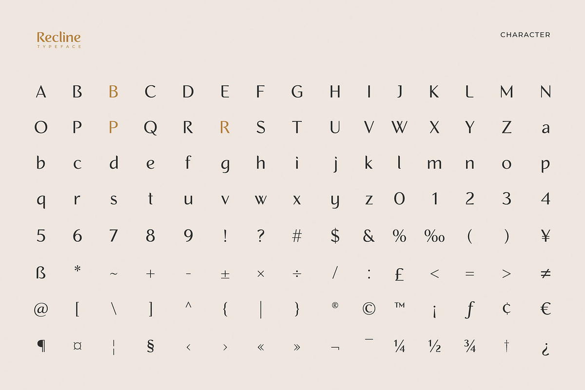 Recline, a Sans Serif Font by Digitype Studio (Photo 10 of 10)