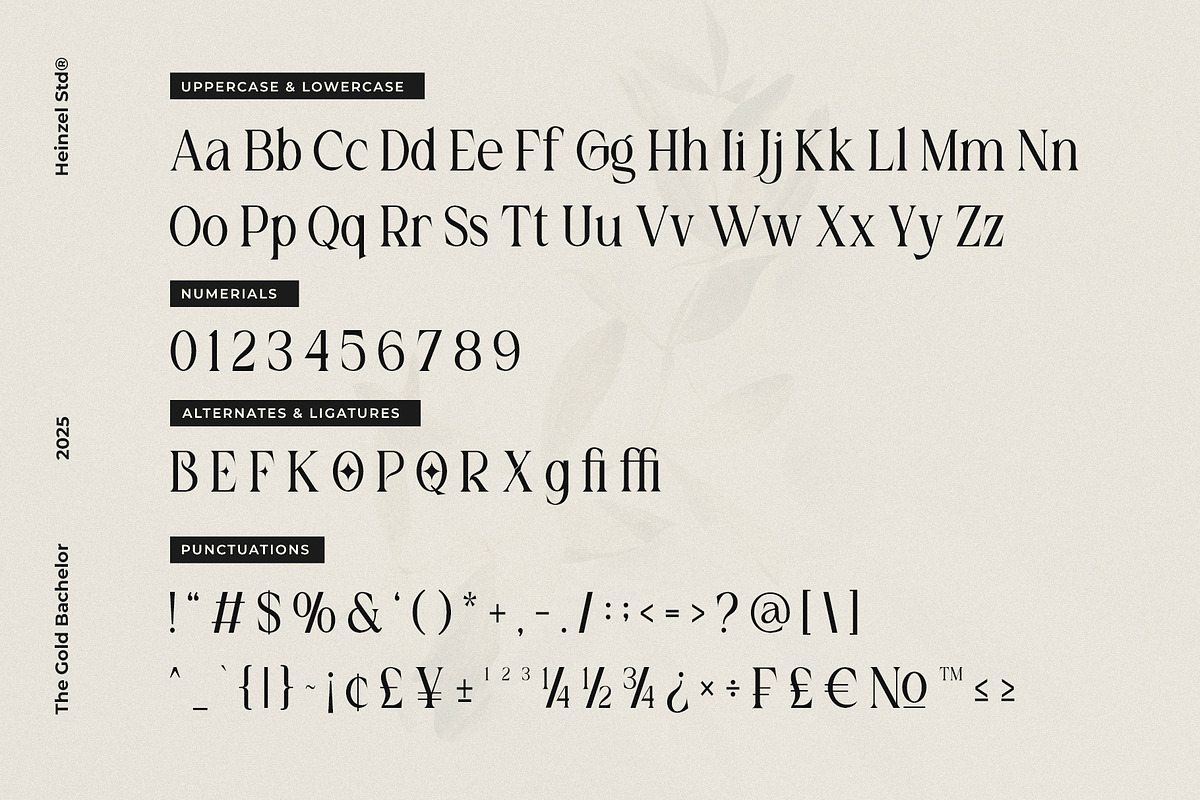 The Gold Bachelor Modern Serif Font, a Serif Font by Heinzel Std (Photo 10 of 17)