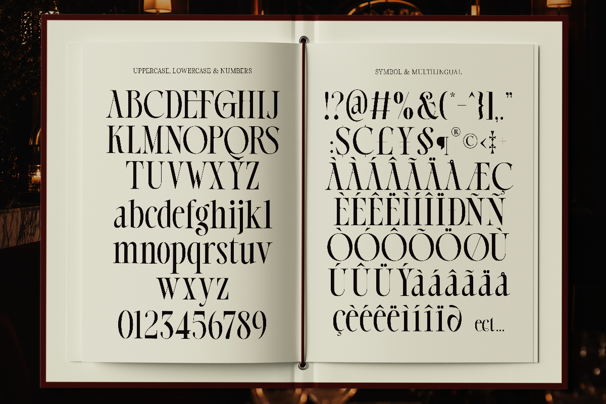 Dh Alista Aghni - 7 Serif Family, a Serif Font by Dharmas Foundry (Photo 14 of 16)
