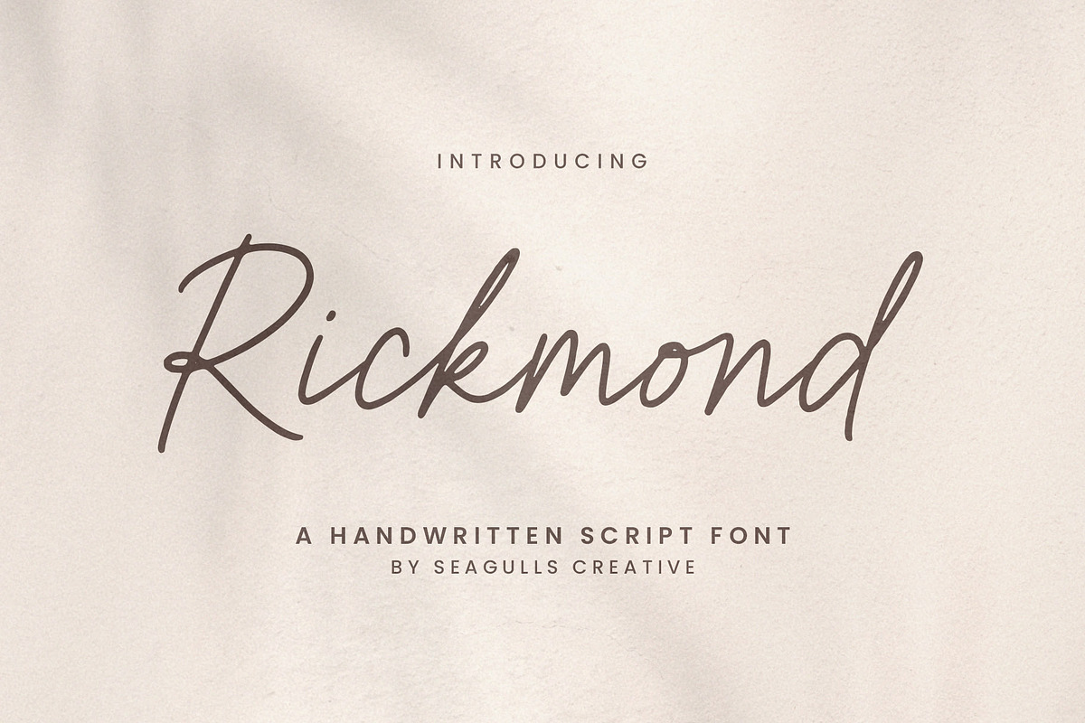 Rickmond Handwritten Font, a Script Font by Seagulls Creative (Photo 1 of 12)