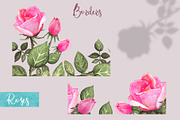 Watercolor Pink Roses, a Decorative Illustration by Color_Brush (Thumbnail 6 of 9)