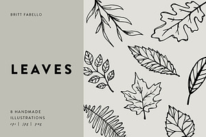 Hand-Illustrated Leaf Vectors, an Illustration by Britt Fabello