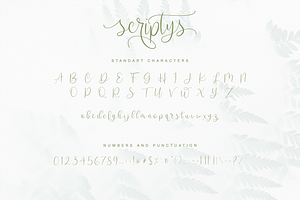 Scriptys Modern Script Font