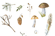 Autumn and foxes animals set, an Object Graphic by JuliaFast (Thumbnail 5 of 7)