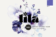 BUNDLE Vol.3 - 5000 graphics 27 in 1, a Decorative Illustration by Lana Elanor (Thumbnail 29 of 30)