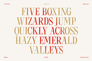 Cassaje – One Case Endless Presence, a Serif Font by Casloop Studio (Thumbnail 5 of 10)