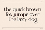 The Cartel - Elegant Serif Font, a Serif Font by Say Studio (Thumbnail 17 of 19)