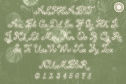 Little Clover- Botanical Script Font, a Script Font by Setara Langit CreativeStd (Thumbnail 14 of 14)