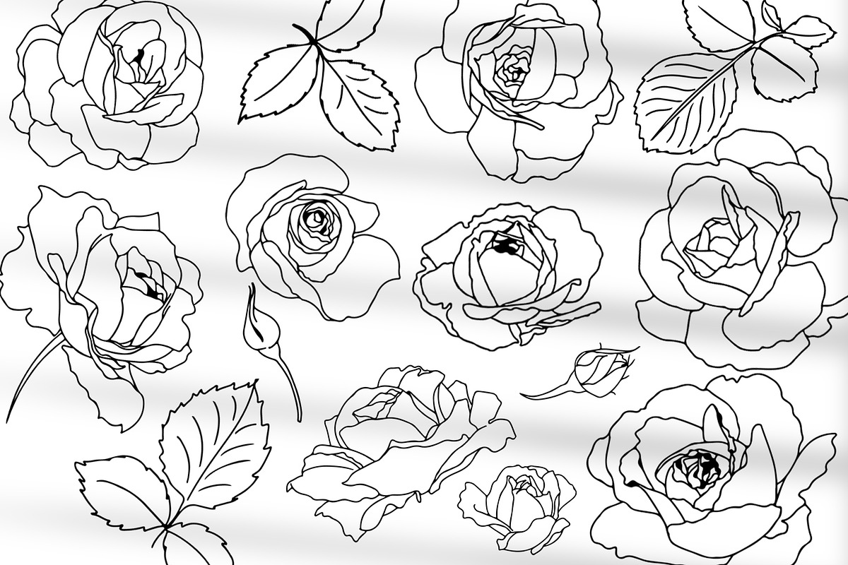 Roses line art design, an Object Graphic by Vera●Suleimanova (Photo 6 of 17)