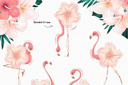 Tropical Flowers & Flamingos ClipArt, an Illustration by Pretty Little Lines (Thumbnail 4 of 15)