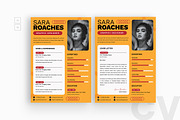 Colorful Business Resume CV, a Resume Template by iDoodle Studio (Thumbnail 1 of 3)