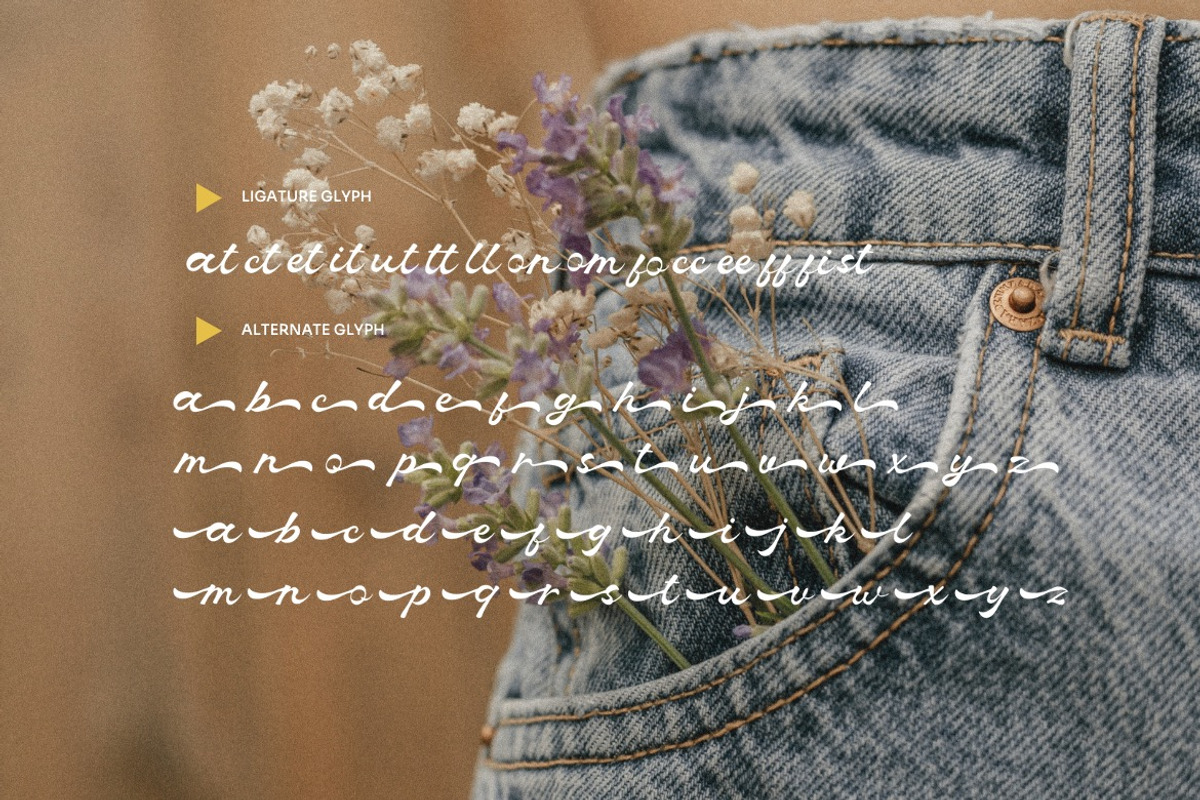 Delliusta - Luxury Script Font, a Script Font by Dhabee (Photo 2 of 15)
