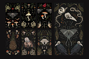 Mystical Forest. Graphic collection, a Pattern Graphic by Chikovnaya (Thumbnail 5 of 7)