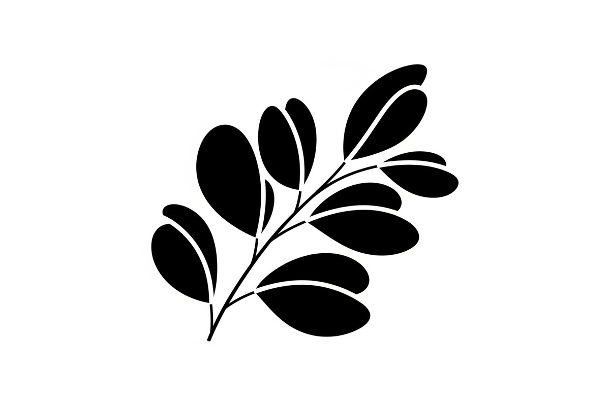 Botanical Leaf Silhouette Bundle, an Illustration by Creativeshirt (Photo 36 of 51)