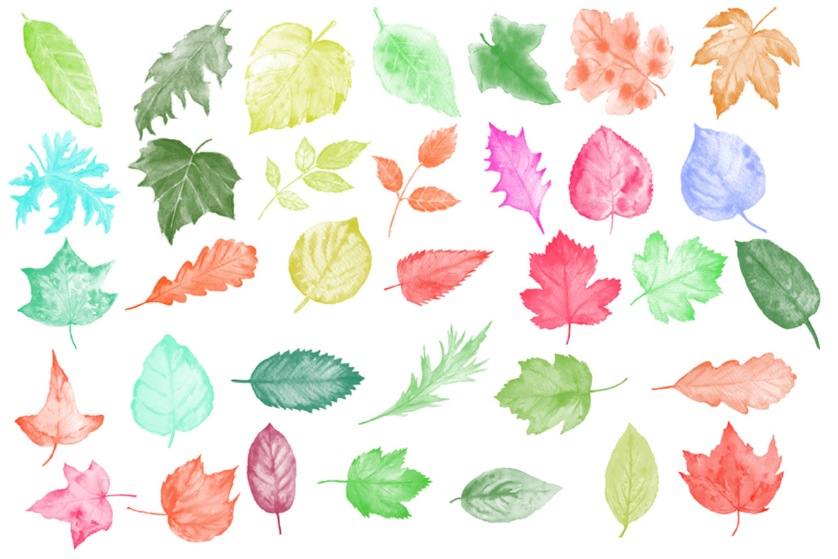 Watercolor Leaf Photoshop Brushes preview 8