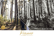 Perfect Wedding Presets, an Action Add-On by Shae Estella Photo (Thumbnail 5 of 6)