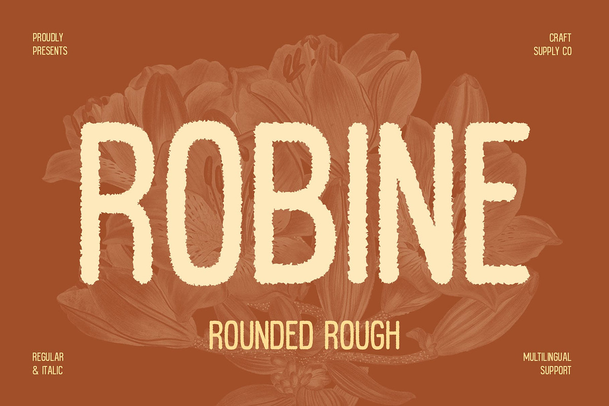 Robine Rounded Rough, a Sans Serif Font by Craft Supply Co. (Photo 1 of 8)
