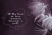 Love Wind font, a Script Font by alphadesign (Thumbnail 3 of 5)