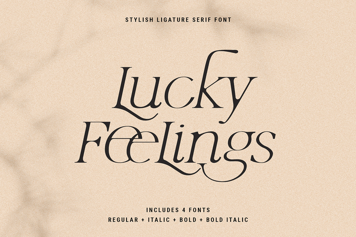 Lucky Feelings - Serif Font Family, a Serif Font by SilverStag Type Foundry (Photo 1 of 12)