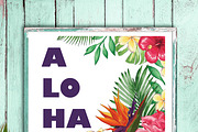 Tropical Paradise Graphic Set, an Illustration by Ink + Eye (Thumbnail 4 of 5)