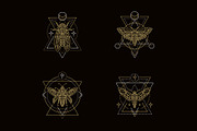 16 Insect symbols and 4 Patterns, an Outline Icon by Anna Smirnova (Thumbnail 5 of 12)