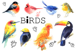 Original watercolor bird
