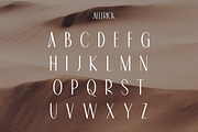Allerick | Modern Classic, a Sans Serif Font by Muntab_Art (Thumbnail 8 of 9)