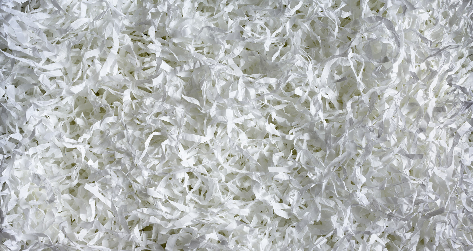Shredded paper texture background, an Abstract Photo by Lopatin Photo