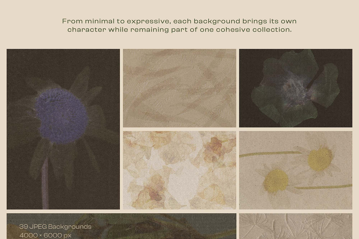 Tactura Artistic Botanical Textures, a Background Graphic by DigARTbyHavroshka (Photo 10 of 13)