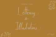 Procreate Modern Lettering Brush, a Brush Add-On by BohoCalligraphy (Thumbnail 4 of 5)