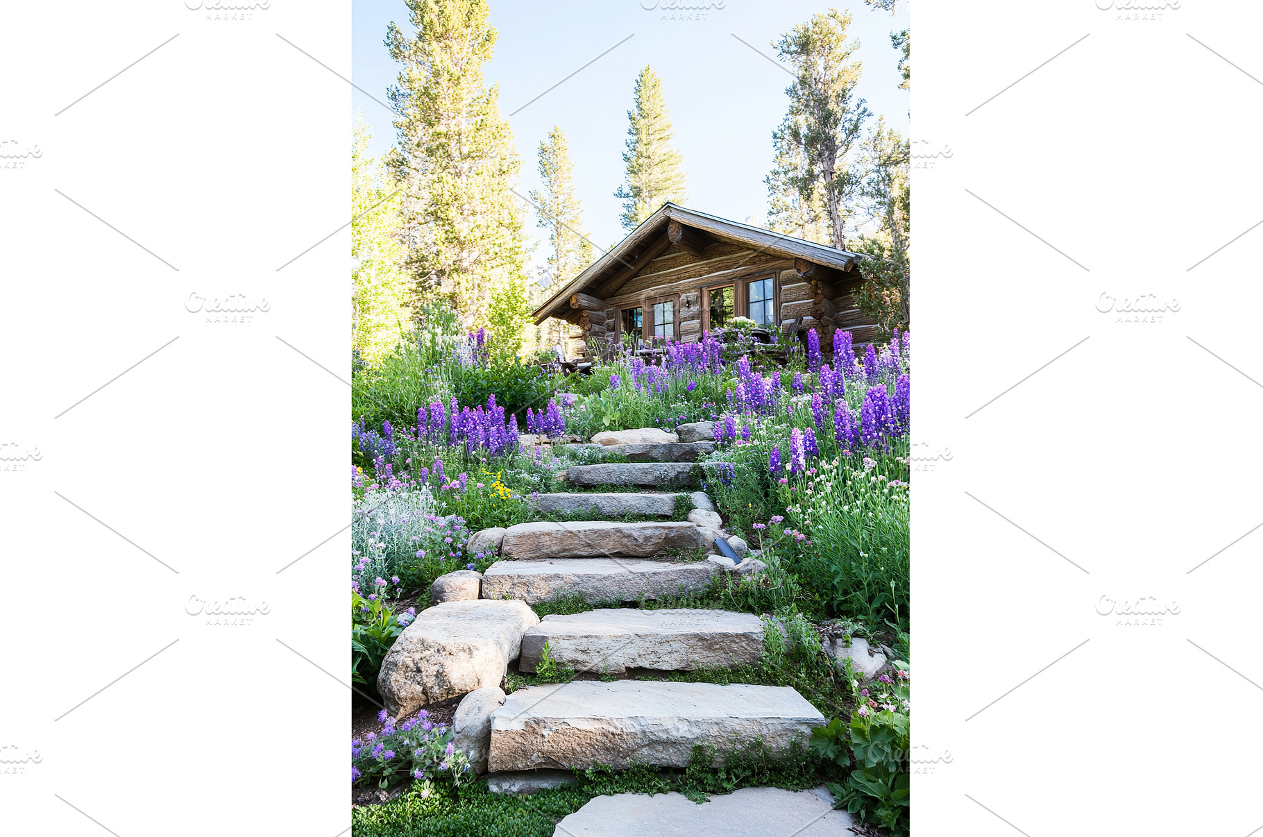Rustic cabin by stone path, a Beauty & Fashion Photo by Lermont51