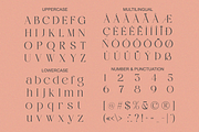 Ravenza - Modern Elegant Branding, a Serif Font by Qweera Studio (Thumbnail 12 of 12)