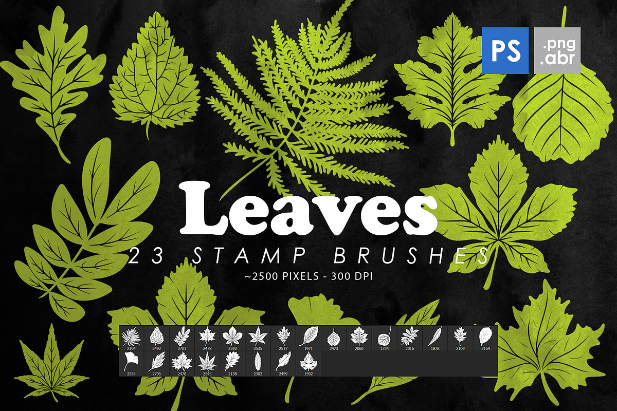 Leaves Photoshop Stamp Brushes, a Brush Add-On by ArtistMef (Photo 1 of 4)