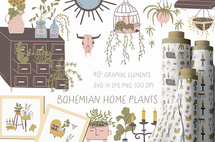 Bohemian home plants