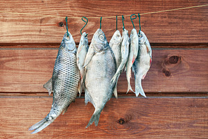 Dried salted fish hanging on a rope, a Food & Drink Photo by BOOCYS