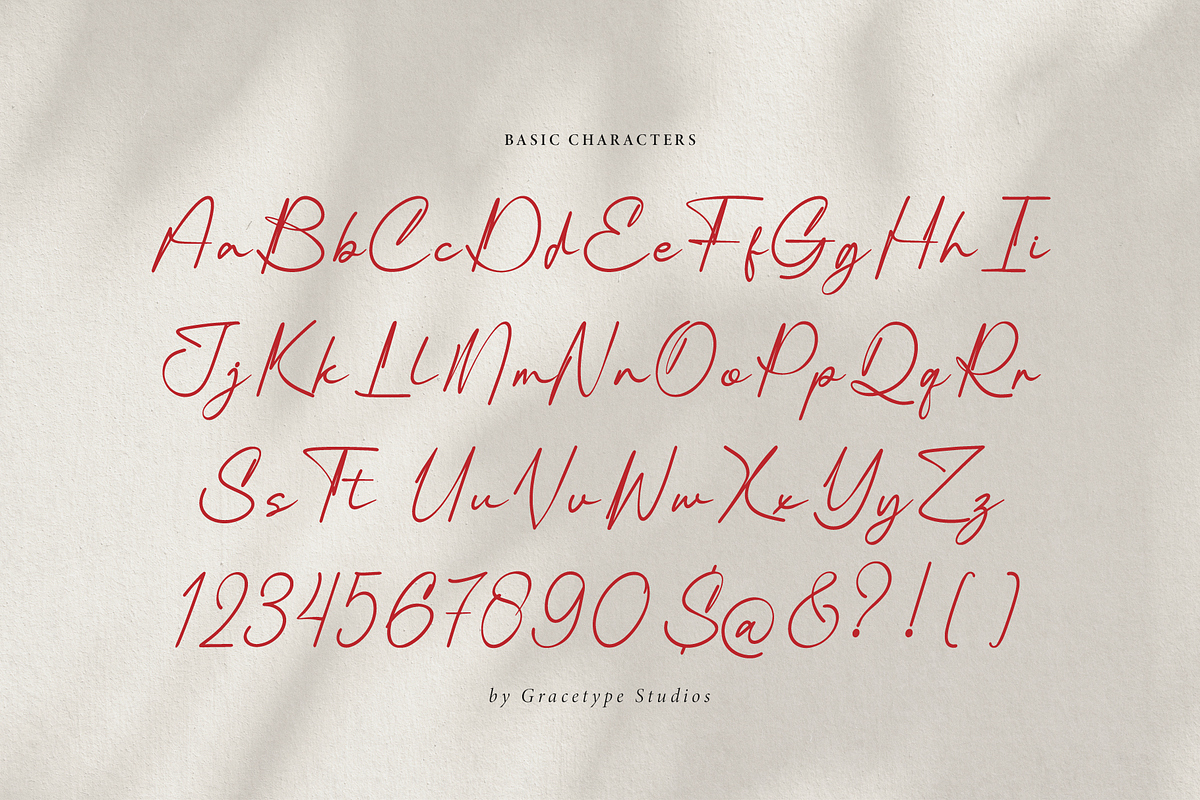 Pelagrium | Handwritten Script, a Script Font by gracetype_studio (Photo 10 of 12)