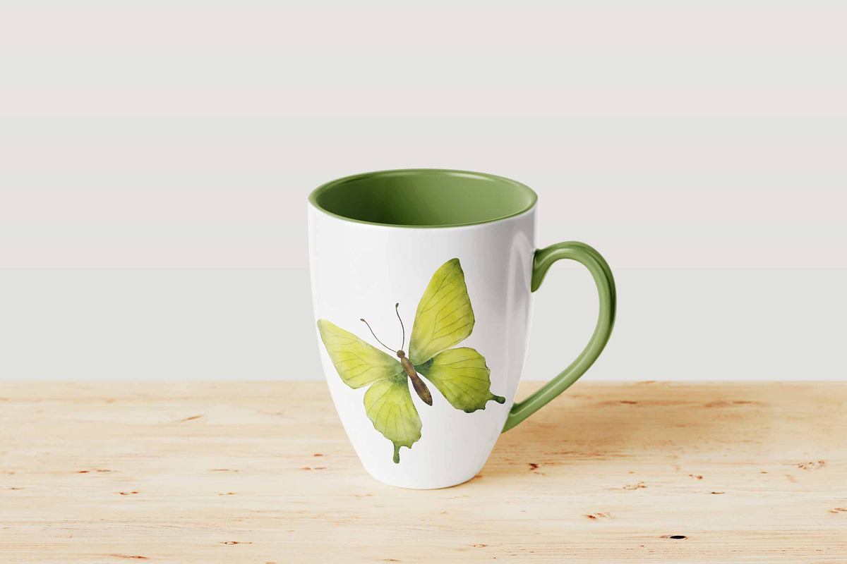 Forest Tales Watercolor Collection, a Decorative Illustration by Aurella Art (Photo 5 of 17)