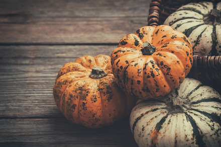 Several small pumpkins on a wooden board and in a basket