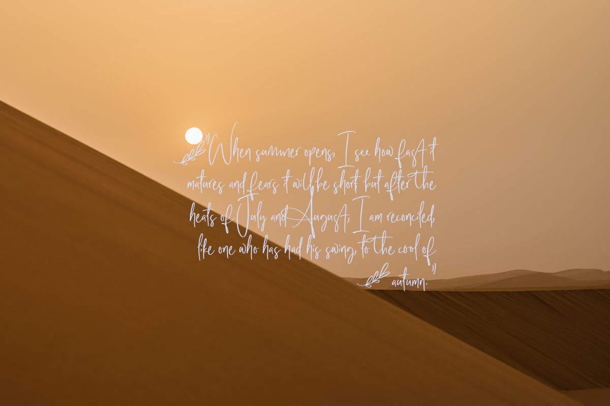 Farmhouse Hills | An Organic Font, a Script Font by Colllab Studio (Photo 10 of 18)