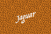 12 Animal skin patterns, a Pattern Graphic by Arthur Balitskiy (Thumbnail 4 of 5)