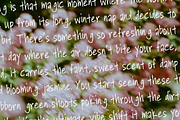 Zarlo - Scribble Handwritten Font, a Handwritten Font by Indotype Foundry (Thumbnail 5 of 10)