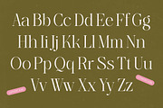 Bagvan Anstic Elegant Serif Font, a Serif Font by timelesstype.co (Thumbnail 10 of 20)