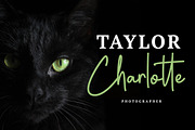 Shania Quinton - Signature Font, a Script Font by Grezline Studio (Thumbnail 2 of 6)