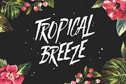 Wilder Mood, a Script Font by Aksa & Nusa Co. (Thumbnail 8 of 9)