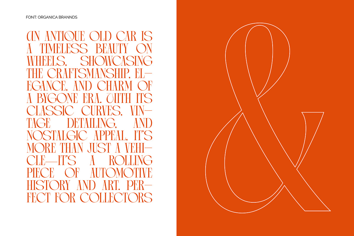 Arganica Stylish Display Serif, a Serif Font by timelesstype.co (Photo 12 of 20)